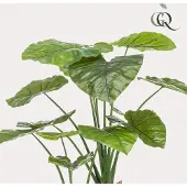 Green Boutiq kunstplant - Alocasia - Olifantsoor