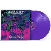 Bigwax Dis Cnt SHAMANS IN SPACE