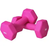 SPORTNOW -Kunststoff, Metall-Rosa-18L x 8B x 8H cm-Kurzhantel