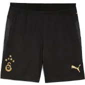 Puma Galatasaray Training Short 2025/2026