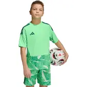Adidas TIRO26 COMPETITION KEEPERSSHIRT MET KORTE MOUWEN