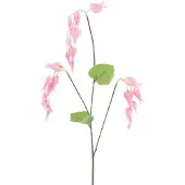Erutan avon - Dicentra spray pink 96 cm
