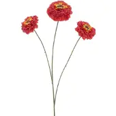 Erutan avon - Zinnia elegans spray red 60 cm