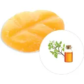 Scentchips Musk & Vers hout - Geurblokjes - Huisparfum - Geurchips - Waxmelts - Geschikt voor Geurbrander en Waxbrander - L - 26 Stuks
