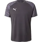 Puma Functioneel shirt 'TeamLIGA26' lichtgrijs / zwart / wit
