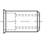Toolcraft TO-5380422 Popmoer M8 RVS 100 stuk(s)