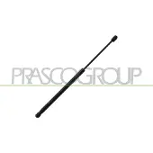 PRASCO AD0249075 Gasveer achterklep