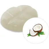 Scentchips Kokosnoot - Geurblokjes - Huisparfum - Geurchips - Waxmelts - Geschikt voor Geurbrander en Waxbrander - XXL - 144 Stuks