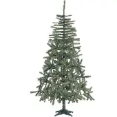 Guirma Douglasspar 536 Takken 180 Cm