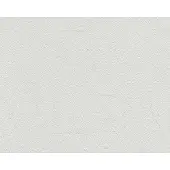 AS-Creation Vliesbehang 5712-12 Meistervlies 2020 pleisteroptiek wit 10,05x0,53 m