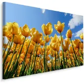 Karo-art Schilderij - Gele tulpen, premium print
