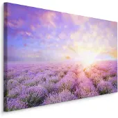 Karo-art Schilderij - Lavendel tot aan de Horizon, paars, Premium Print