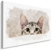 Karo-art Schilderij - Nieuwsgierige kat, beige, 4 maten, wanddecoratie