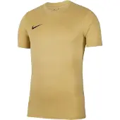 Nike Kinder/Jongeeugd Dry Park VII Voetbalshirt (Gouden)