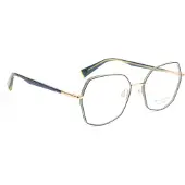 Ana Hickmann Optical Frame HI1229 12A 52