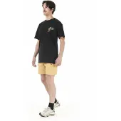 Picture - Alpho Shorts - Short 36, beige