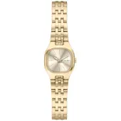 Skagen SKW3177 Vrouwen Horloge 22 mm - Goudkleurig