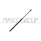 PRASCO AD3249065 Gasveer achterklep