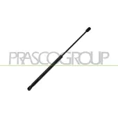 PRASCO DA2249055 Gasveer achterklep