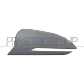 PRASCO HN8107424 Afdekking, buitenspiegel
