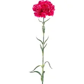 Easyplants | Kunstbloem Anjer 69 cm hardroze | Zijde | Nepbloemen | roze | Onderhoudsvrij | Kant-en-klaar