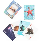 Kikkerland - Fish 3D Cards