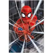 Noname Spider-Man Gotcha Poster 61x91.5cm