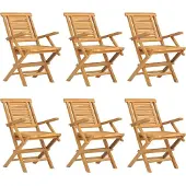 vidaXL Tuinstoelen 6 st inklapbaar 56x63x90 cm massief teakhout