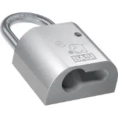 Basi PZ5090-0020 Hangslot 50 mm Vernikkeld