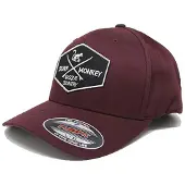 Surf Monkey Sportpet bourgogne