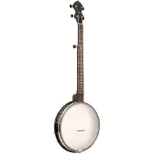 Gold tone Ac-12 Banjo 5