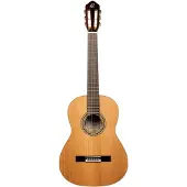 Ortega Traditional Series R20GWN klassieke gitaar met gigbag