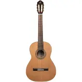 Ortega Traditional Series R18S klassieke gitaar met gigbag