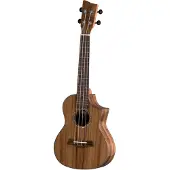 Vgs Concert Ukelele Manoa Special Concert