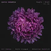 Proper S&D Consignment Purple/Black Vol. 1