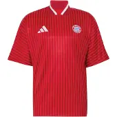 Adidas Tricot 'FC Bayern München Stadium' rood / bordeaux / wit