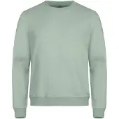 Clique Miami Roundneck Saliegroen maat M uniseks