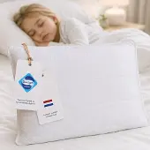 Zavelo Mimi Kinderkussen - Peuterkussen vanaf 2 jaar - 60x70 cm - Luxe uitvoering - Katoen - Dikke Gewatteerde Tijk