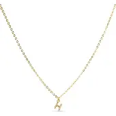 Luxenter Luxeketting met glanzende zirkonia 18k goud afwerking - Alfabet
