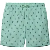 Shiwi Zwemshorts lichtgroen / donkergroen