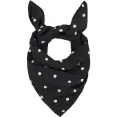 Catwalk junkie Dotted scarf