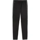 Puma Sportbroek 'TeamLIGA26' grijs / zwart / wit