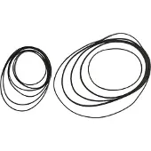 Sram Red Axs Cassetteborgring