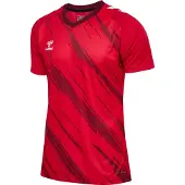 Hummel Functioneel shirt 'Match Triumph' rood / wijnrood / wit