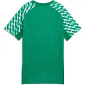 Puma LIGA26 Training Shirt Kids