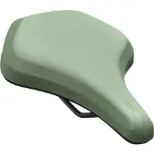 Newton Zadel Roy Minima