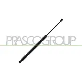 PRASCO FT9149059 Gasveer achterklep