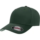 Flexfit Unisex wollen kammenkap (Sparrengroen)