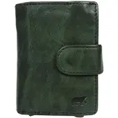 Bear design Bobby Dames Pasjeshouder - Leer - Groen