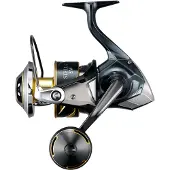 Shimano Stella SW D 10000 HG